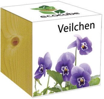 Extragreen Veilchen Cubes von Feelgreen Holzwürfel