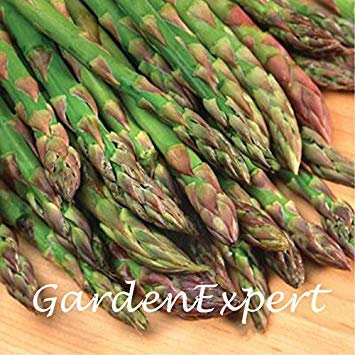 100pcs Jersey Giant Espárrago Semillas de espárragos verdes orgánicos de la herencia Vegetable Seeds casero de los bonsais de la planta en maceta de jardín de bricolaje