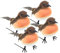 ToSSme 4 Grand Robin Bird décoration d'arbre de Noël Artisanat Plume Artificielle très Mignon