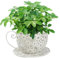 CGTQROVR Teacup Planter Cute Hollowed Out Flower Pots Iron Art Garden Pots Decorative Plant Indoor Vintage Metal Succulent Plant Holder ideal for Indoor Outdoor