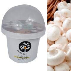 Mushroom Growing Kit - Champignon Or White Button Mushroom Grow Kit - Everything Included
