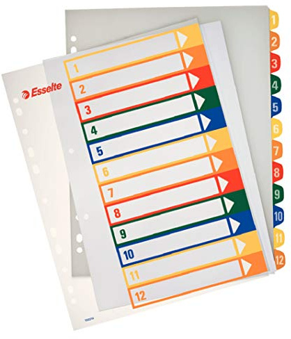Esselte 100457 Register Polypropylen A4, 12 Positionen, aufdruckbar