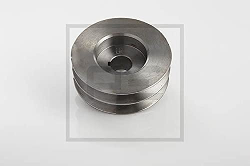 PE Automotive 039.250-00A Riemenscheibe, Generator