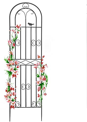 Treillis en métal pour plantes grimpantes – Cadre de support de jardin antirouille pour roses, brise-vue décoratif