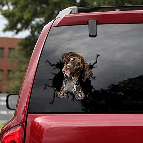 Ocean Gift Deutsches Kurzhaar Pointer Auto Decals, Hund Autoaufkleber 2 Stück - Realistische Deutsche Kurzhaare Aufkleber für Autofenster, Wände Serie 69 Größe 25,4 cm x 25,4 cm