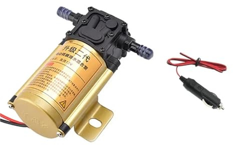 5L/min 12V 24V 220V DC Petrol Gasoline Pump Fuel Transfer Pumps For Gasoline Oil Water 12 Volt 24V 1Pcs(24V,Cigarette lighter)
