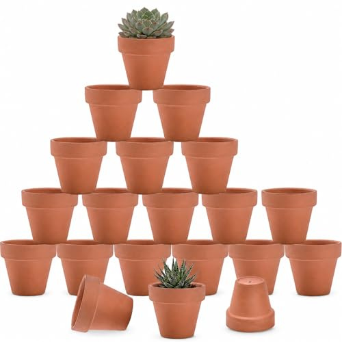Hipothoe 20 Pack 7.6 cm Mini Terracotta Pots with Drainage Holes | Small Clay Plant Pots for Succulents, Cacti, Seedlings, Crafts and Creative Projects