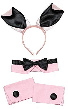 Bristol Novelty Ladies Bunny Costume Set