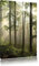 Pixxprint Sonnenstrahlen im Wald, Größe: 100x70cm, Leinwandbild, fertig gespannt, Wandbild, Dekoration, Kunstdruck, kein Poster
