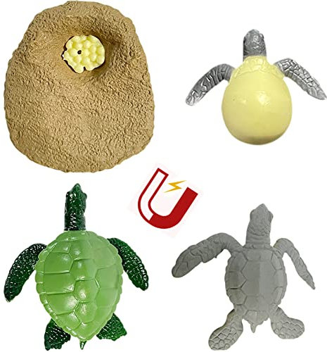 WAYUTO Magnetische Kühlschrankmagnete Set Tierlebenszyklus Figuren Kühlschrankmagnete Wachstumszyklus Figuren für Kühlschrank DIY Dekoration Meeresschildkröte