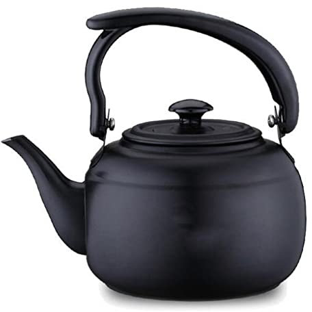 Teiera in acciaio inossidabile da 1 litro Bollitore Piano cottura Bollitura rapida per tè Caffè Metallo Acqua