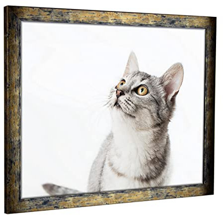 myposterframe Komfort Juno 61 x 91 cm Rahmen Blau Gold meliert