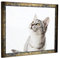 myposterframe Komfort Juno 61 x 91 cm Rahmen Blau Gold meliert