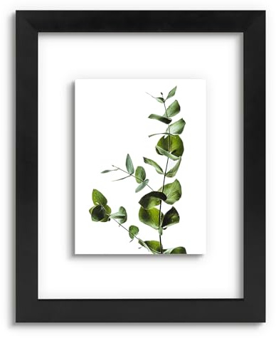 Golden State Art, 11X14 Floating Picture Frame, Black Wood Frame Display Any Size Photo Up To 11X14, Pressed Flower Frames with Hanging Hardware - Horizontal And Vertical Formats for Wall
