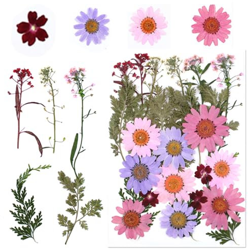 Gepresste Blumen Klein