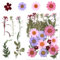 Gepresste Blumen Klein, 24 Stück Getrocknete Blumen DIY Trockenblumen zum Basteln Natürliche Getrocknet Blätter Blüten für Kunst Harz Scrapbooking Blumendekoration (Rosa)