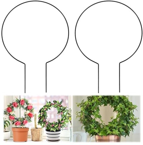 2 Pack Round Trellis Small Plant Trelli for Indoor Potted Plants, Acrylic Trellis for Climbing Plants Indoor Outdoor Plant Support for Hoya Pothos Vine Ivy Monstera Flower Philodendrons Dischidia