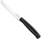 Sicignano | Coltello da Tavola in Acciaio Inox 10,7cm con Manico Colorato in PP, Lavabile in Lavastoviglie, Taglio Preciso per Uso Alimentare (Nero, 1 pezzo)