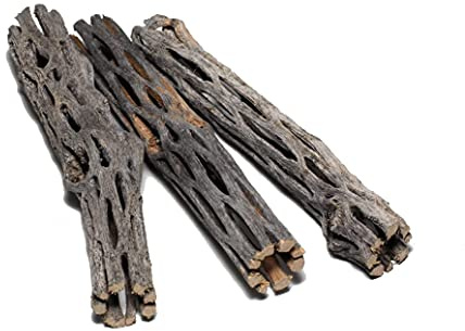 SoShrimp 3 Pièces 5-6 Pouces de Long Cholla en Bois Naturel pour Aquarium Décoration par