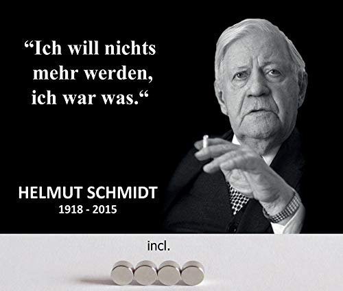 Blechschild 20x30cm gewölbt incl. 4 Magneten Nichts mehr Werden Spruch Helmut Schmidt Deko Geschenk Schild
