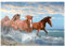 MyPuzzle Schöne Pferde Laufen am Strand durch das Meer - Premium 1000 Teile Puzzle - MyPuzzle Sonderkollektion von Puzzle Galaxy