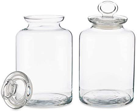 Set de 2 Tarros de cristal con tapa hermetica Botes de cristal con tapa Frasco de Galletas Transparente para Alimentos, con Tapa de Junta de Goma Resistente a Fugas Bote cristal kitchen 2640cc