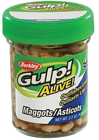 Berkley Gulp! Alive!® Maggots,White,1-Inch