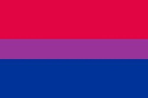 U24 Aufkleber Bi Pride Flagge Fahne 8 x 5 cm Autoaufkleber Sticker
