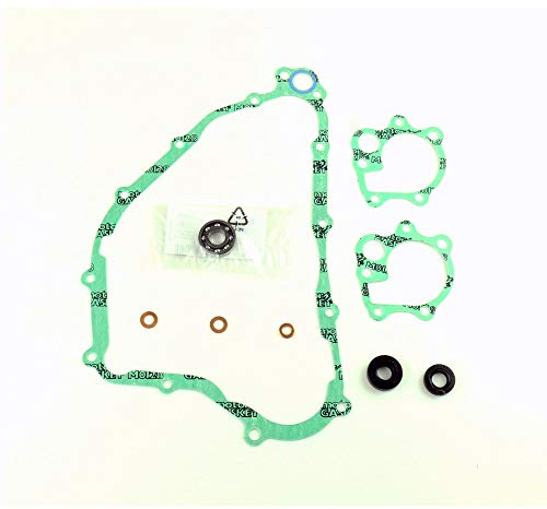 Athena Parts P400210475006 Dichtungssatz für Wasserpumpe, Schwarz