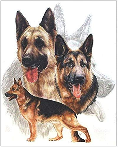 PPTRTYQ Paint by Numbers for Adults Children Three German Shepherd dogs Diy Painting for Adults Beginner Level with Brushes and Acrylic Pigment 16x20 Inch home Decorations Gift