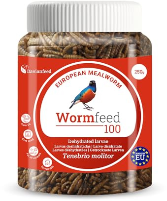 Wormfeed 100 - Gusano Harina Premium 250 g - Larva de Tenebrio para Aves, Reptiles, Roedores, Peces - Rico en Proteínas con Omega 3 y 6 - Criado en Europa - Davianfeed