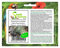 Pezzi - 5x Hesperoyucca Whipple Palma Yucca Giardino Piante - Seme B2113 - Seeds & Plants Shop by Ipsa