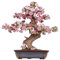 Rolife Puzzle 3D Madera Sakura Bonsai Maquetas para Construir Adultos Modelismo Maquetas DIY Kit Manualidades para Adultos (Cherry Blossoms Sakura Bonsai)