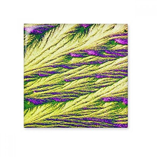 anches Cluster plumes couleur papier peint en céramique Bisque carrelage de salle de bain Décor de cuisine Carreaux de céramique murale Carreaux, sku00202346f15406-M