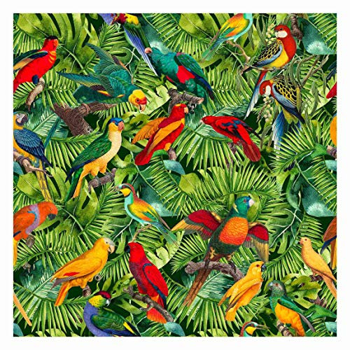 Bilderwelten Papagei Fototapete Vogelmotiv inkl. Kleister 240x240cm - Vliestapete Made in Germany - Tapete Vögel Schlafzimmer - Fototapete Vögel - Dschungel Fototapete Wohnzimmer Flur T_3375