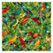 Bilderwelten Papagei Fototapete Vogelmotiv inkl. Kleister 240x240cm - Vliestapete Made in Germany - Tapete Vögel Schlafzimmer - Fototapete Vögel - Dschungel Fototapete Wohnzimmer Flur T_3375