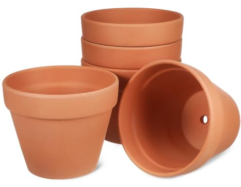 TOVINANNA 5piezas Macetas De Terracota Maceta De Terracota para Suculentas para Plantas para Flores