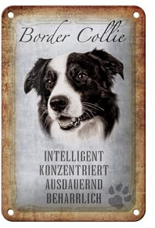 FEMER Blechschild Spruch 12x18cm Border Collie Hund Schild