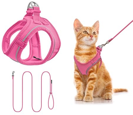 Hundegeschirr mit Leine 255cm XS Set, Reflektierend (Rosé) | Brustgeschirr Für Kleine Hunde & Katzen, Atmungsaktives Mesh, Anti-Ausbruch, Weich, Spaziergang