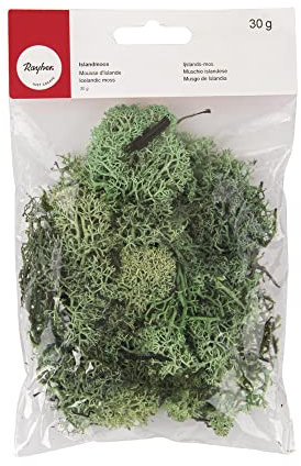Rayher 8500411 Islandmoos, hellgrün, Btl. 30 g, echtes Natur-Moos (Island), konserviert, gereinigt, zum Basteln, Deko-Moos zu Ostern, Weihnachten, für den Modellbau
