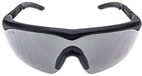 Raptor Swiss Eye Schutzbrille mit Wechselgläsern