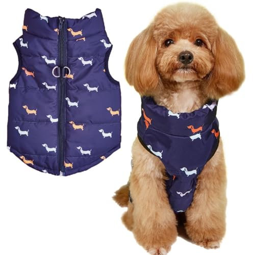Asmea Hundemantel Winter Hundejacke Warme Hundemantel für Kleine Hunde Winddichte Hundeweste mit Geschirr Loch Schwach Wasserdicht Hundejacke für Chihuahua Dackel Blau XL