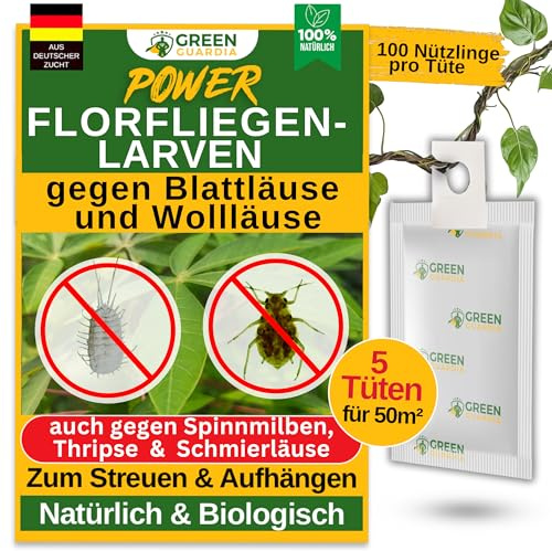 GREEN GUARDIA Power Larves de mouches de chrysopes contre les pucerons et les cochenilles – 5 sachets – Produit biologique pour lutter efficacement contre les pucerons et les cochenilles pour plantes