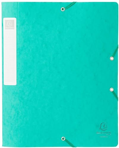 Exacompta 14003H Premium Sammelbox mit Gummizug 40 mm breit aus extra starkem Colorspan-Karton mit Rückenschild für DIN A4 Archivbox Heftbox Dokumentenbox Zeichenbox Sammelmappe grün