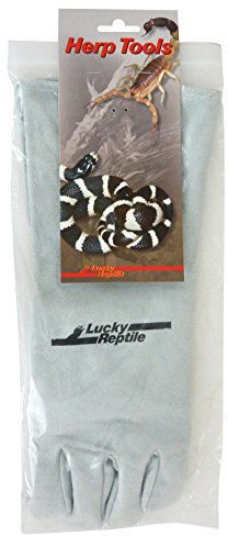Lucky Reptile Schutzhandschuh grau, Variante:Rechtshänder