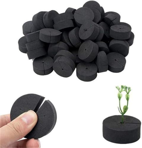 Denxahao Hydroponik Schwämme Klonmaschine Schwamm Gartenklonkragen Wiederverwendbare Einsätze Klonierungsmaschine DIY Schaumstoff-Einsätze für Netztöpfe, Hydrokultur, Aeroponik (60PCS)