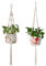 MSLSOZ Lot de 2 suspensions pour plantes en macramé, corde en coton, style bohème pour intérieur et extérieur, supports décoratifs pour plantes de plafond