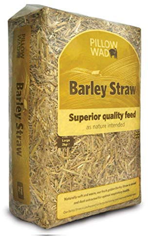 Pillow Wad - BARLEY STRAW - 2kg x1
