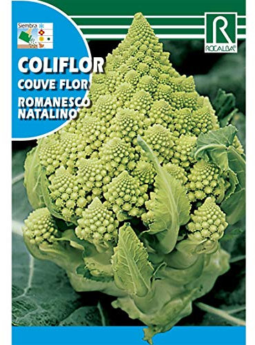 Semillas de Coliflor romanesco natalino