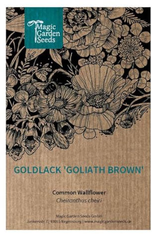 Goldlack 'Goliath Brown' (Erysimum cheiri) ca. 60 Samen der historischen Blumensorte